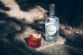 A bottle of Anaë gin stands on a stone surface outdoors, partially shaded by surrounding foliage. Next to the bottle is a glass filled with a red liquid garnished with a slice of fruit, possibly a fig, adding a touch of elegance to the scene.