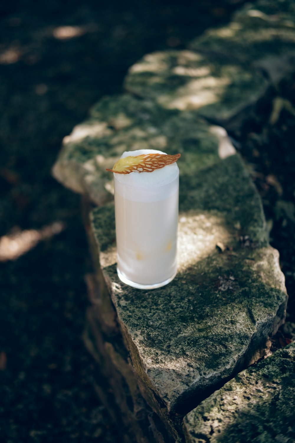 a small glass sitting on top of a rock