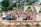 A diverse group enjoying a wedding celebration outdoors.
