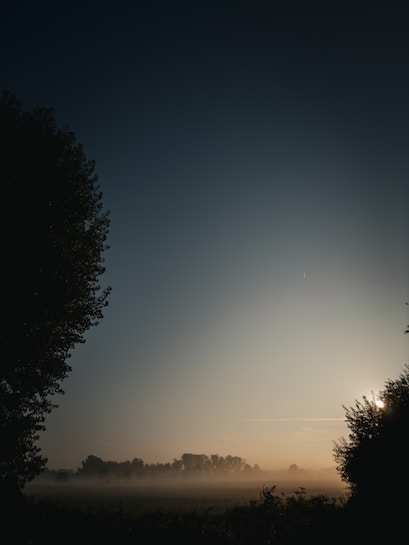 The image features a serene, early morning landscape with a mist-covered field. Trees are silhouetted against the dawn sky, which gradually transitions from dark blue to a soft, warm hue as the sun begins to rise. The scene emanates a calm and tranquil atmosphere.