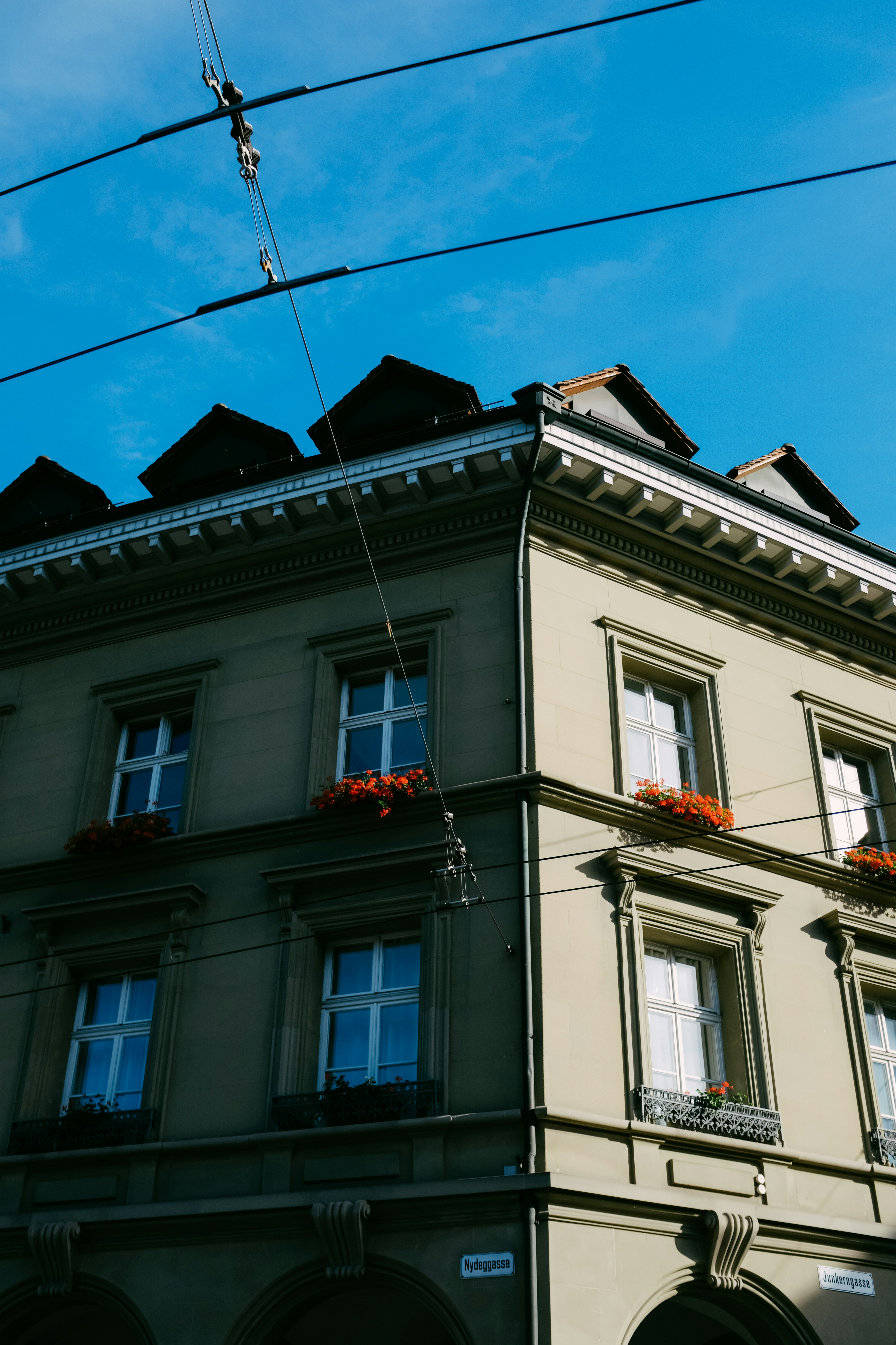 Photo by adrienolichon