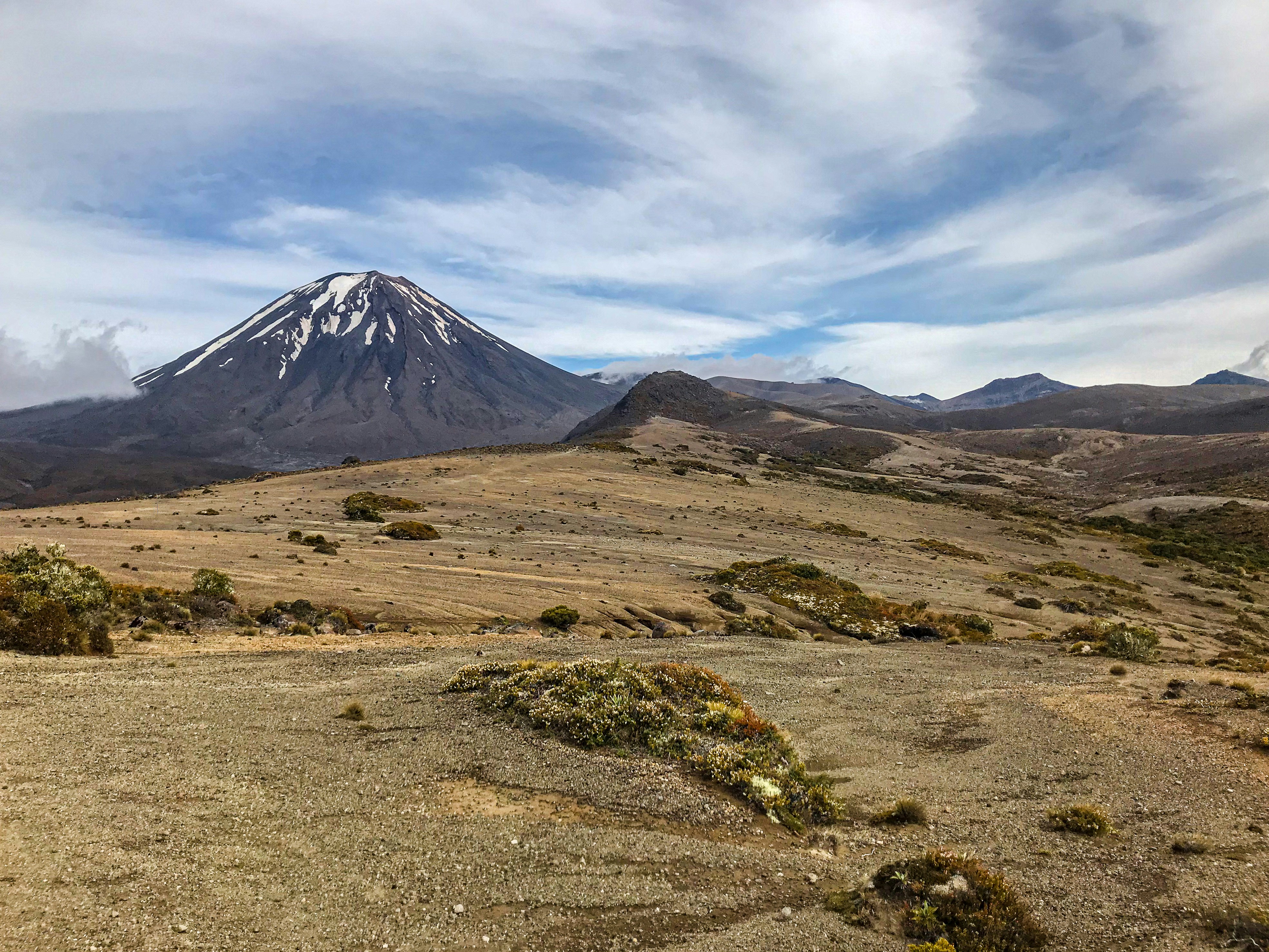 Photo by tyrannosara