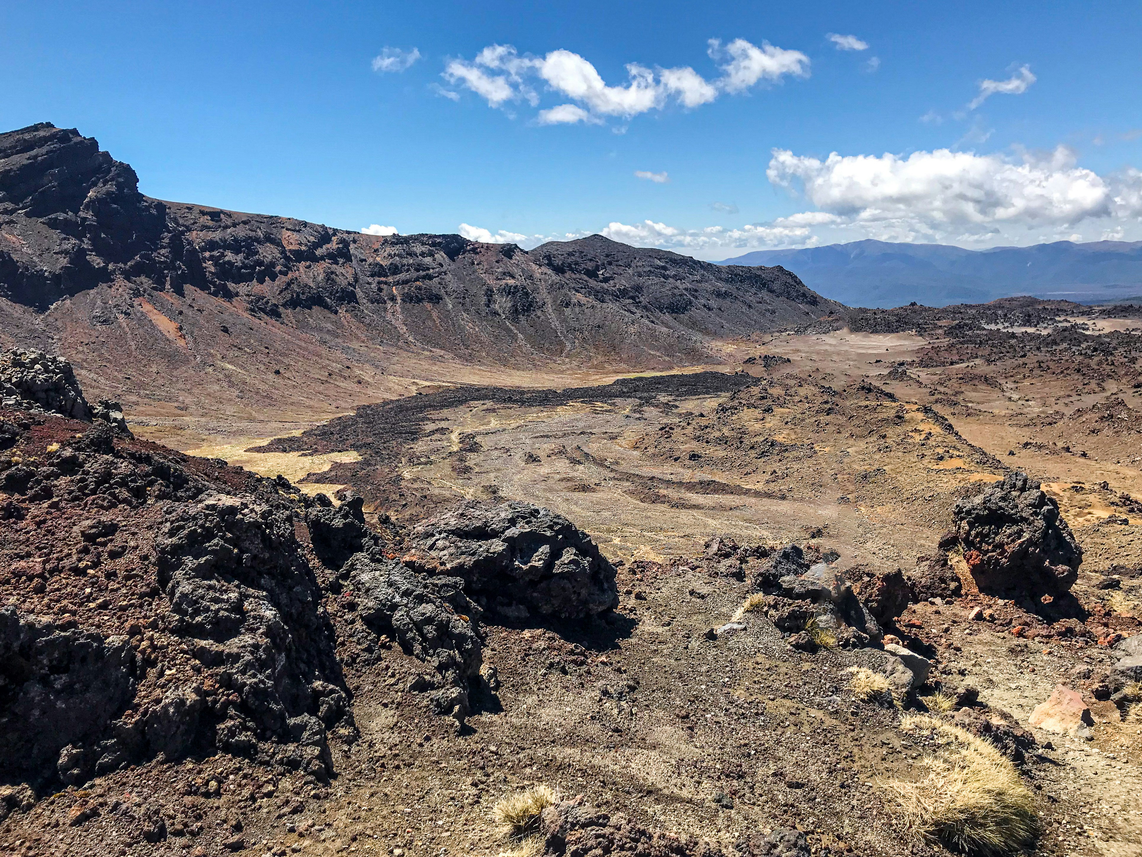 Photo by tyrannosara