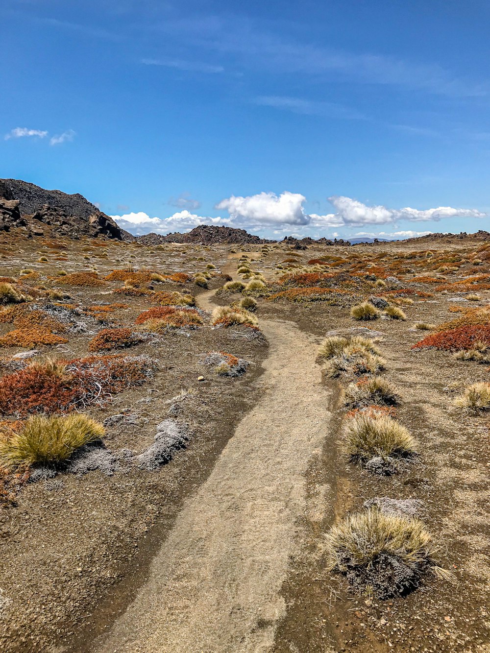 a dirt road in the middle of a desert