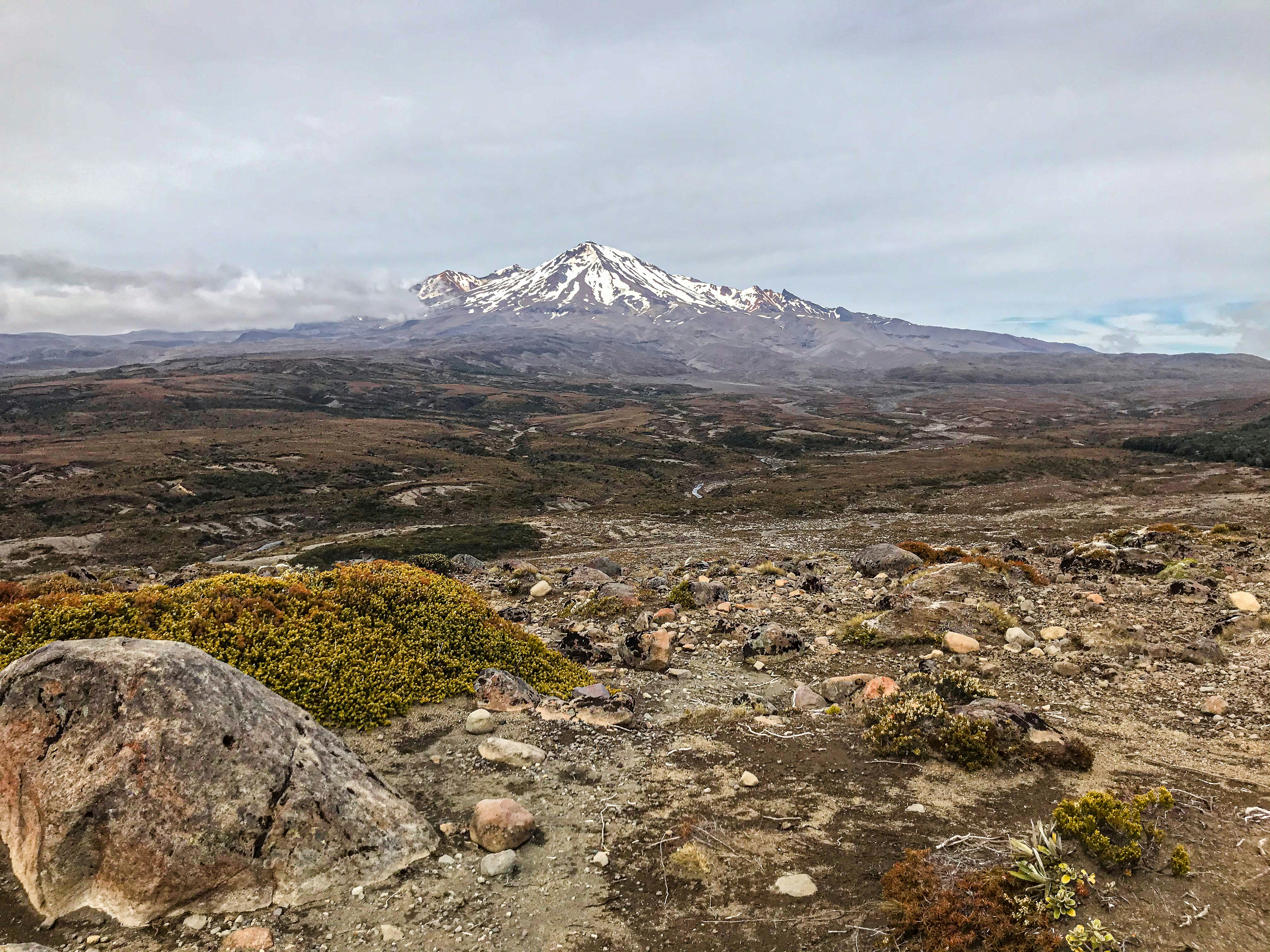 Photo by tyrannosara