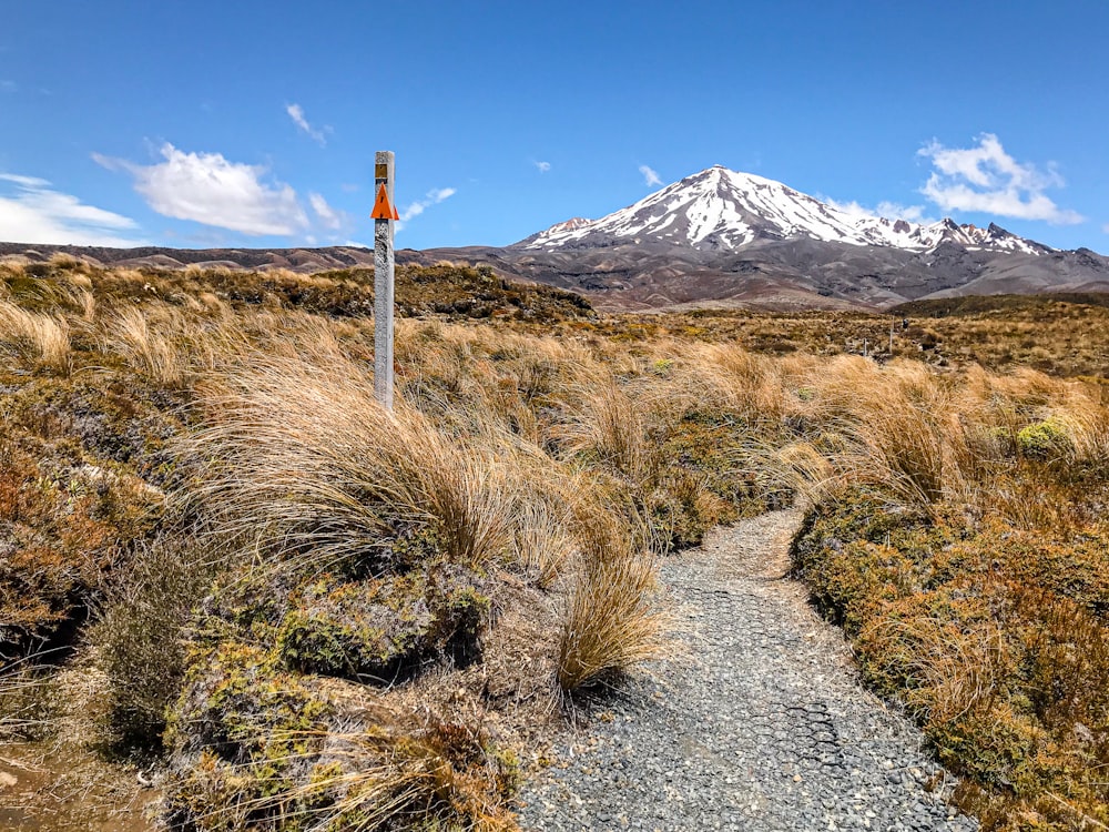 a trail winds through a grassy field with a mountain in the background