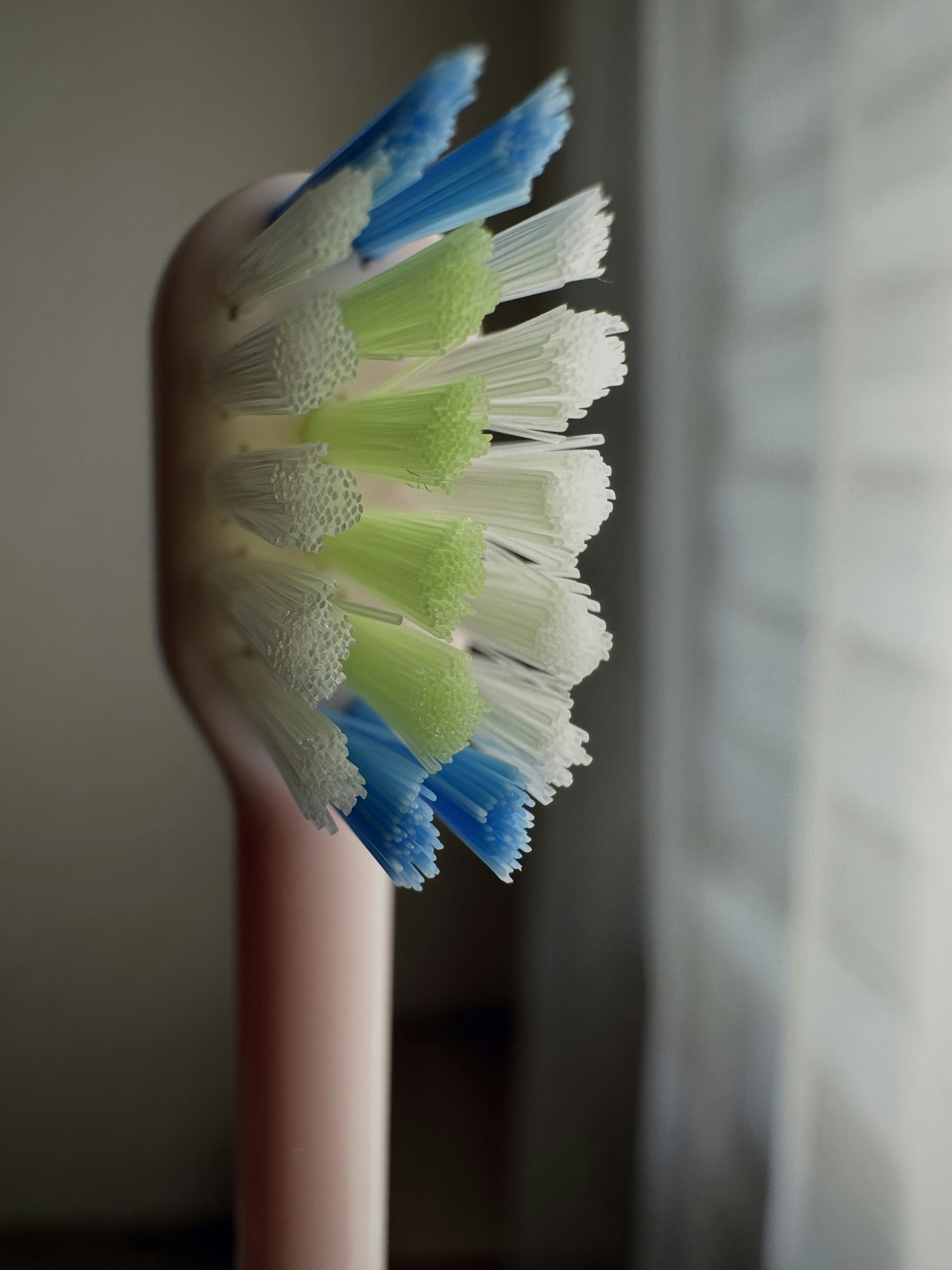 DCL Pro Soft toothbrush in clinical blue and white colors showing soft bristle head in close-up
