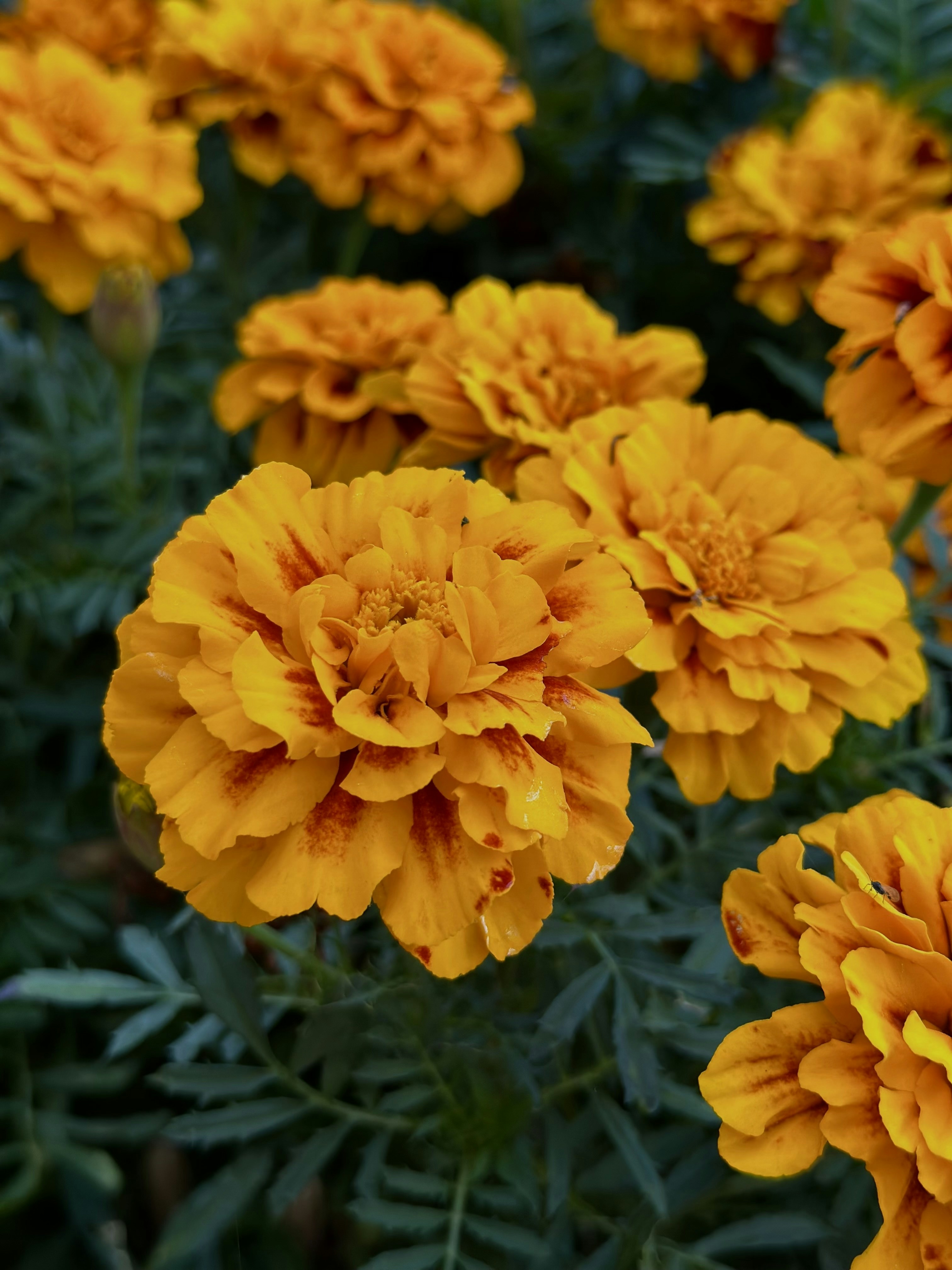 Photo by viyoursoul0909