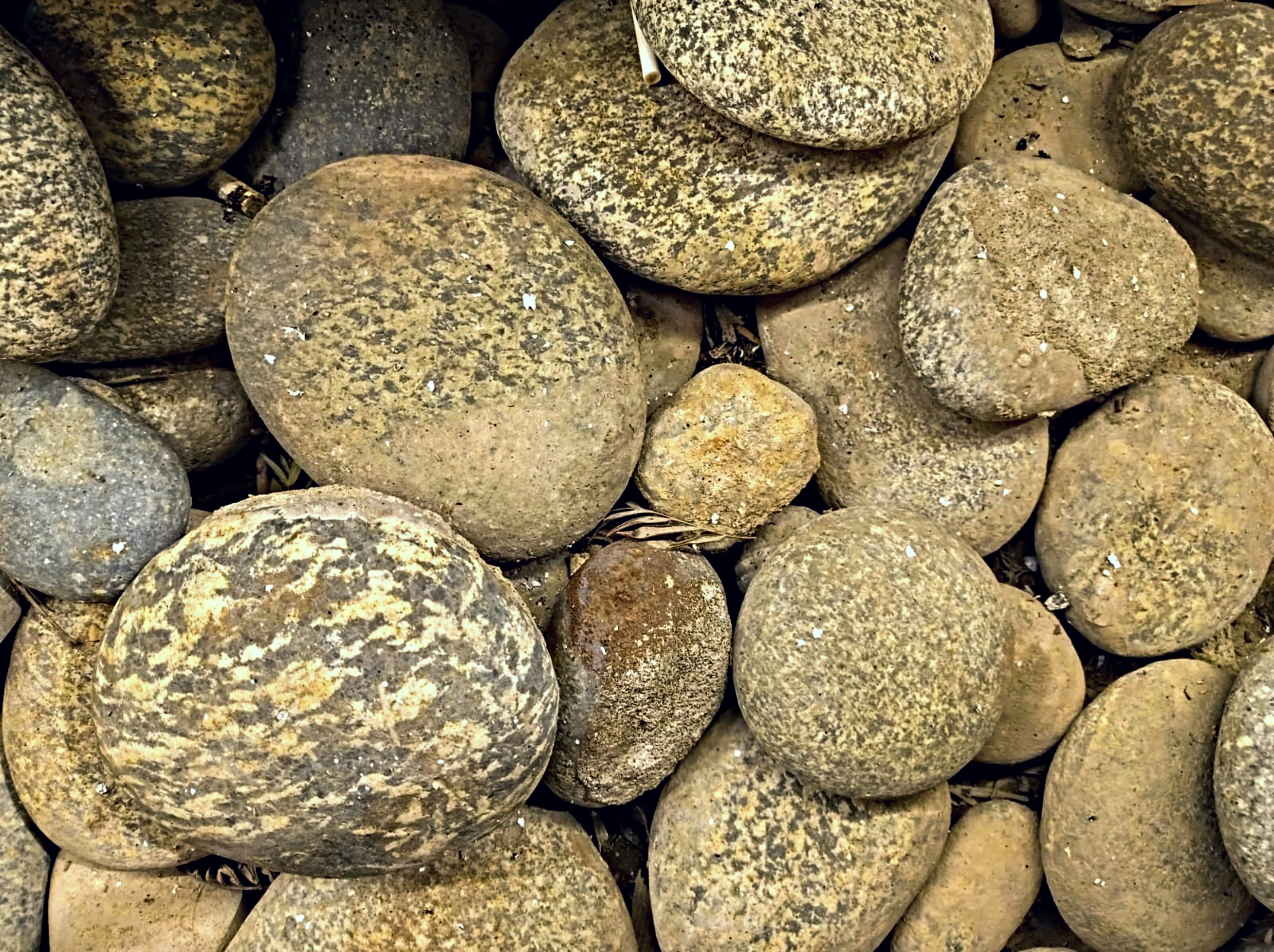 Photo by artsywish777