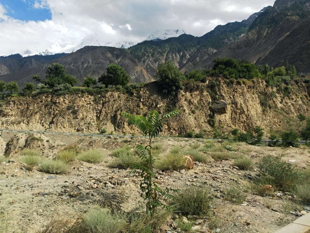 a dirt field with a mountain in the background