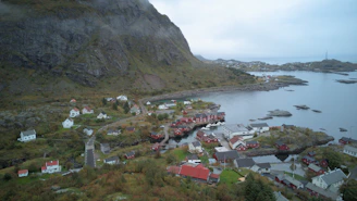 Scenic coastal village view with lush greenery and traditional stone houses.