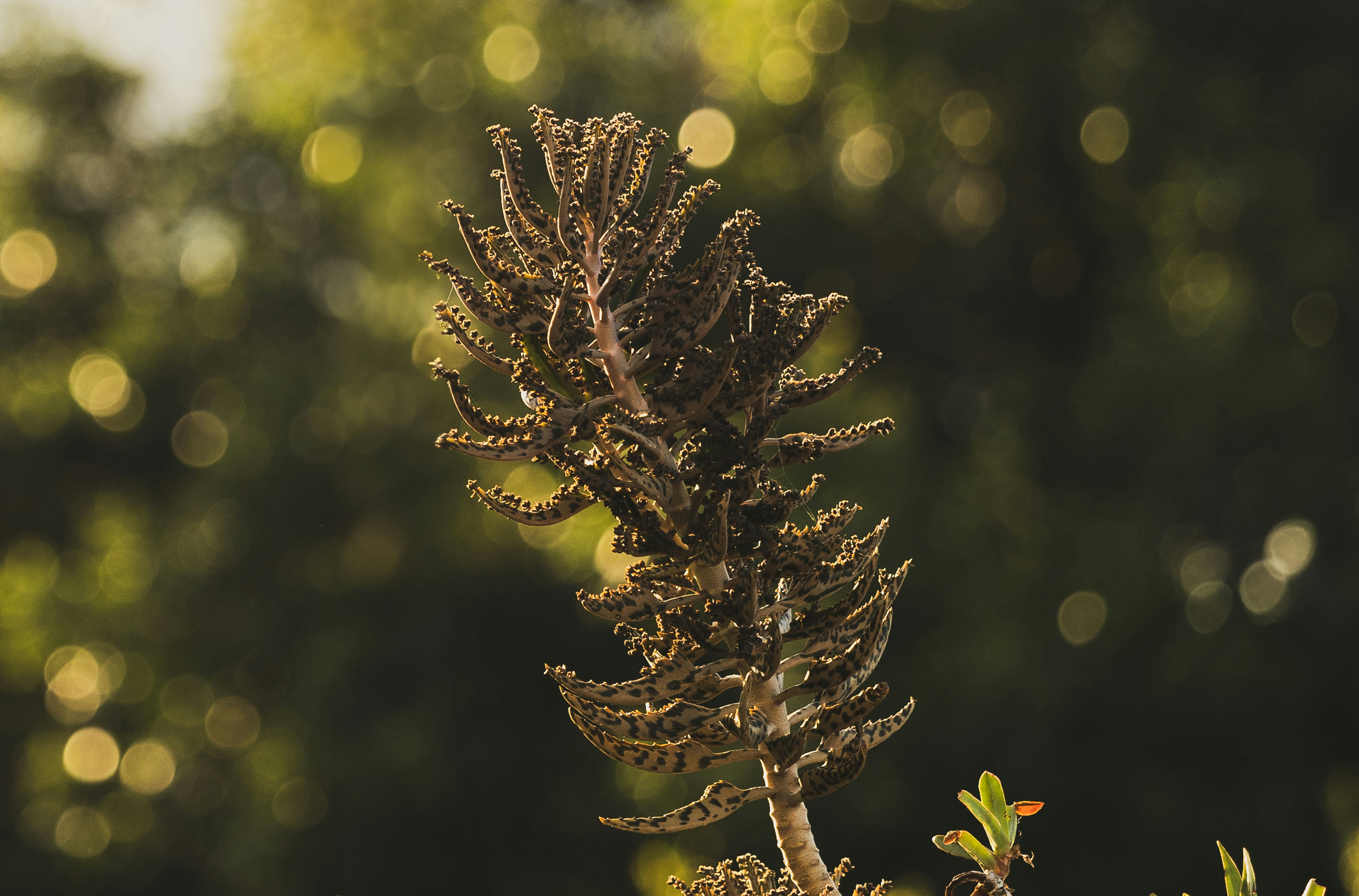 Photo by orian_lev_ari1