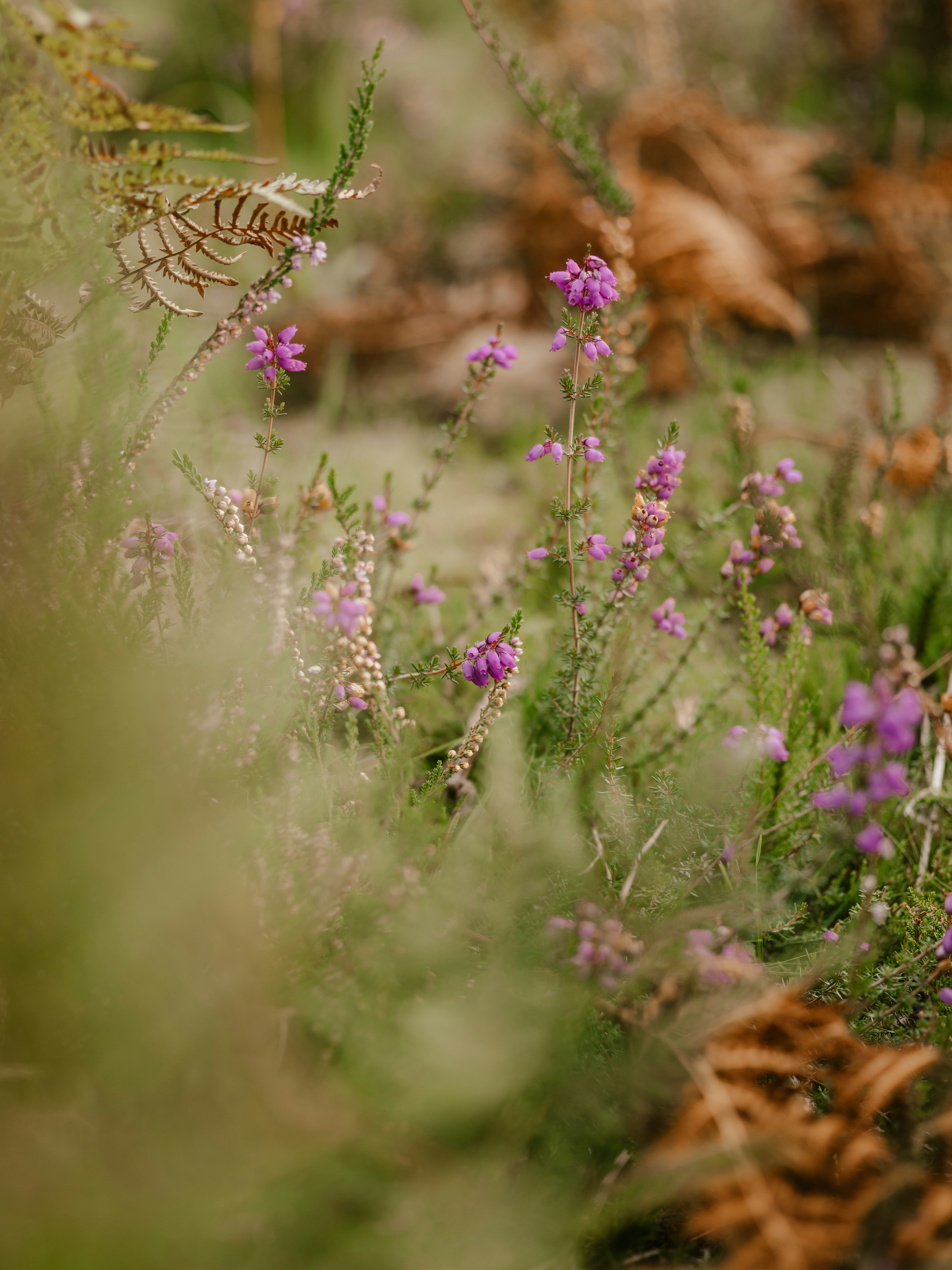 Photo by anniespratt