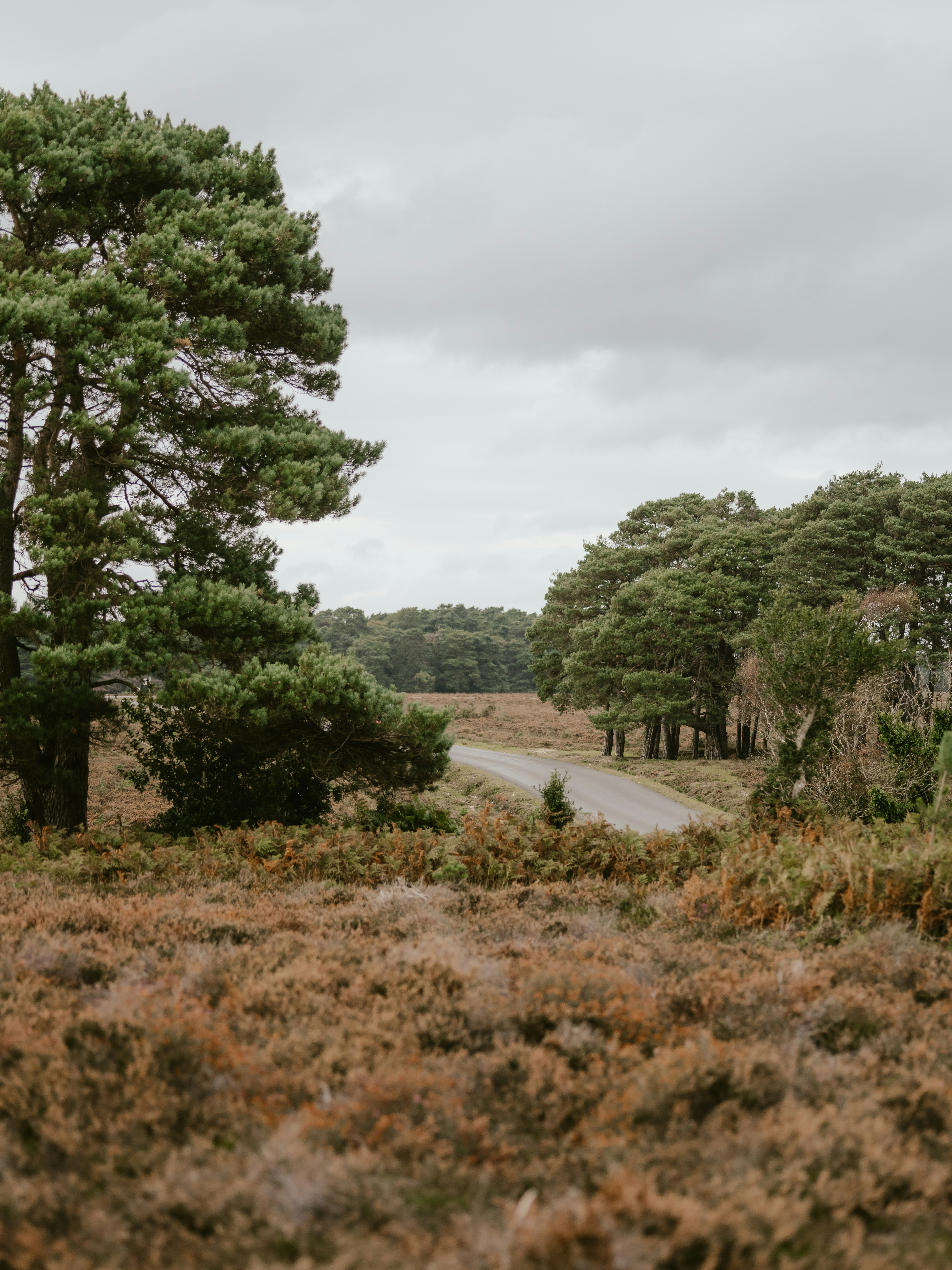 Photo by anniespratt