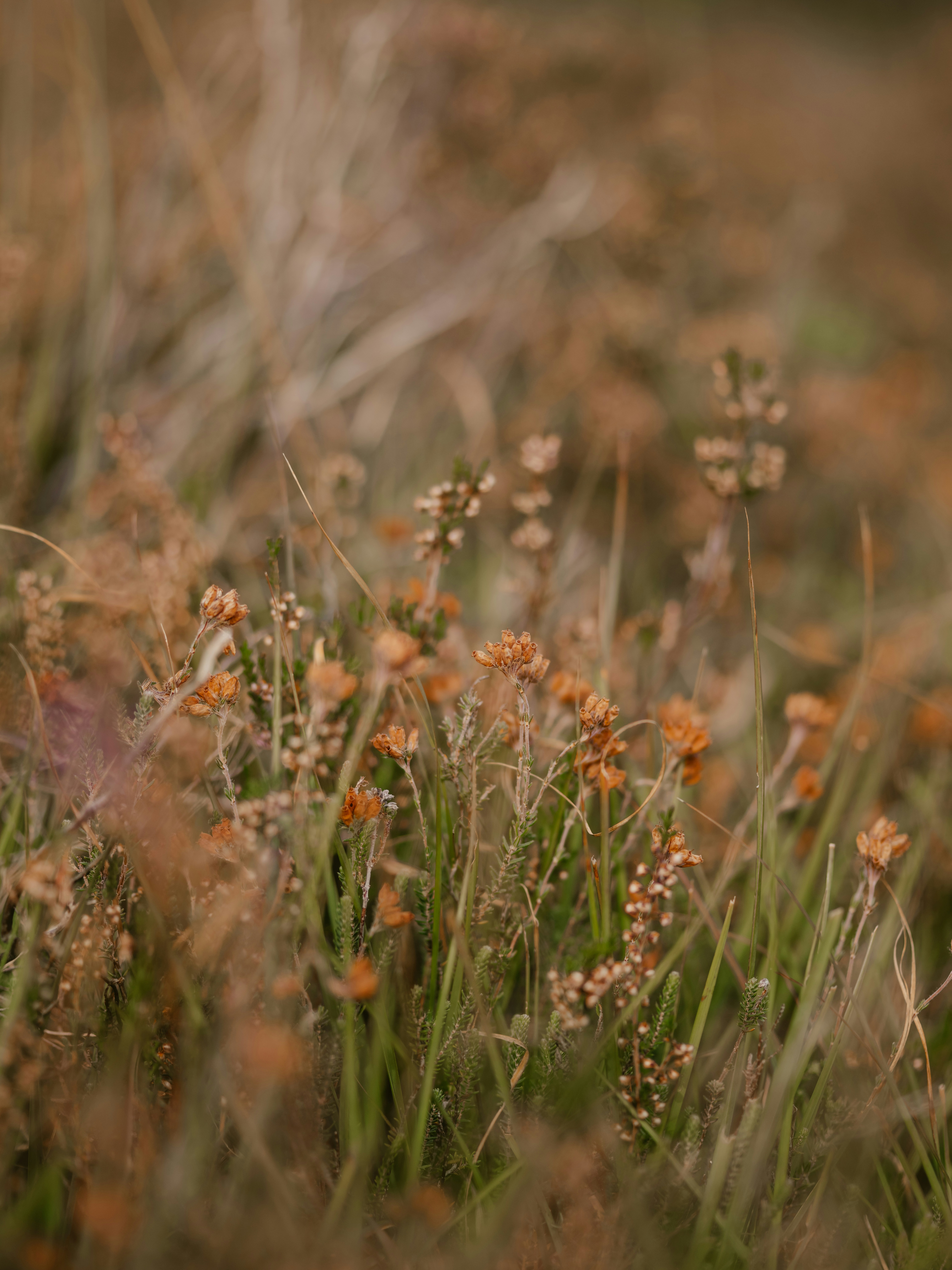 Photo by anniespratt