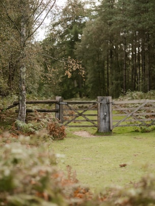 a wooden gate in the middle of a field