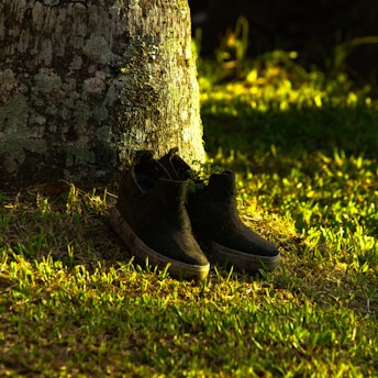 A quiet morning street with soft sunlight illuminating a worn pair of walking shoes beside a digital step counter.