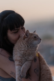 Minimalist turquoise and orange line art of hands gently holding a cat silhouette.