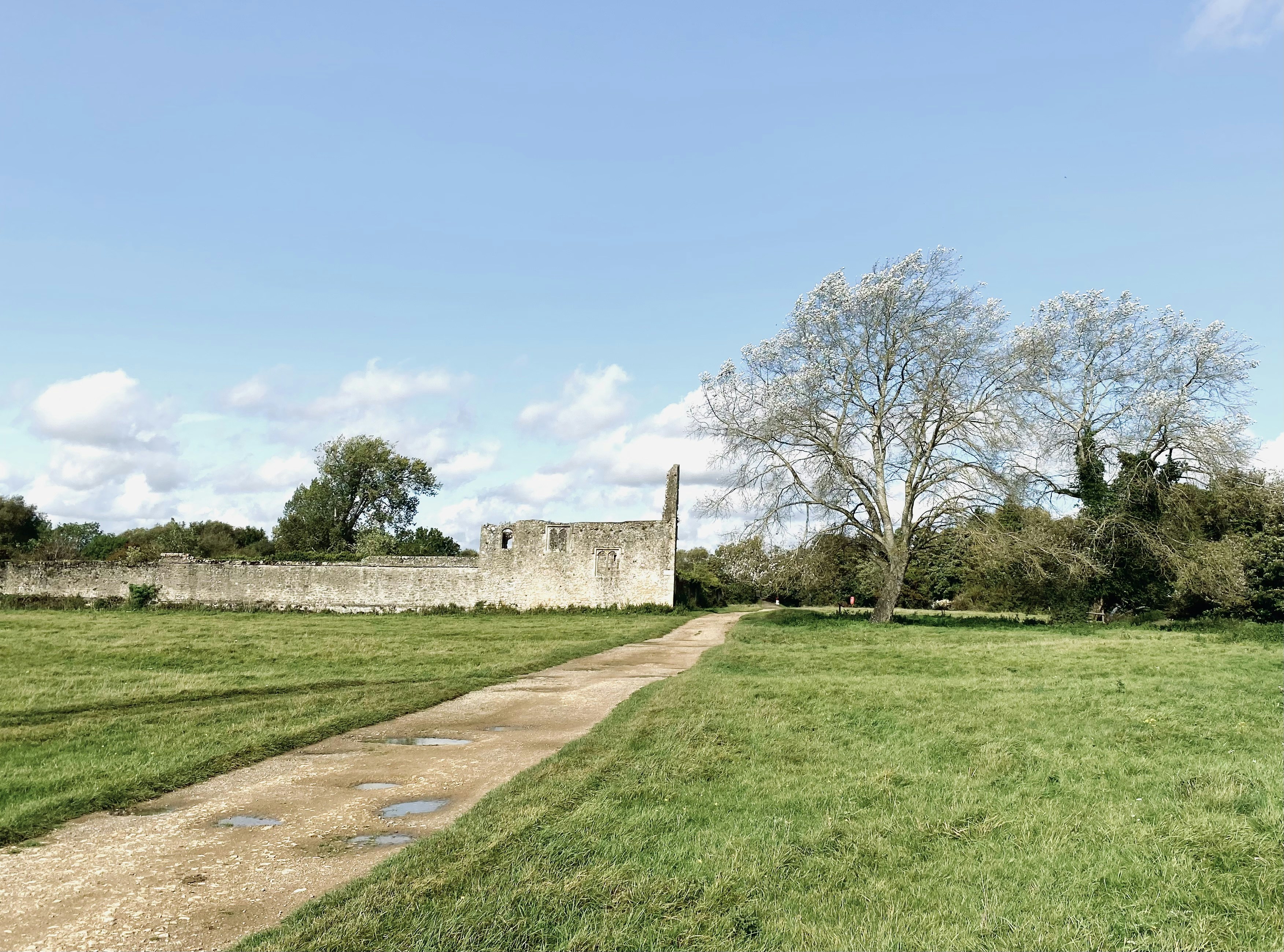 Photo by lucyoryetso