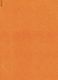 an orange piece of paper with a black border