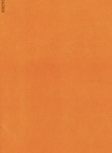 an orange piece of paper with a black border