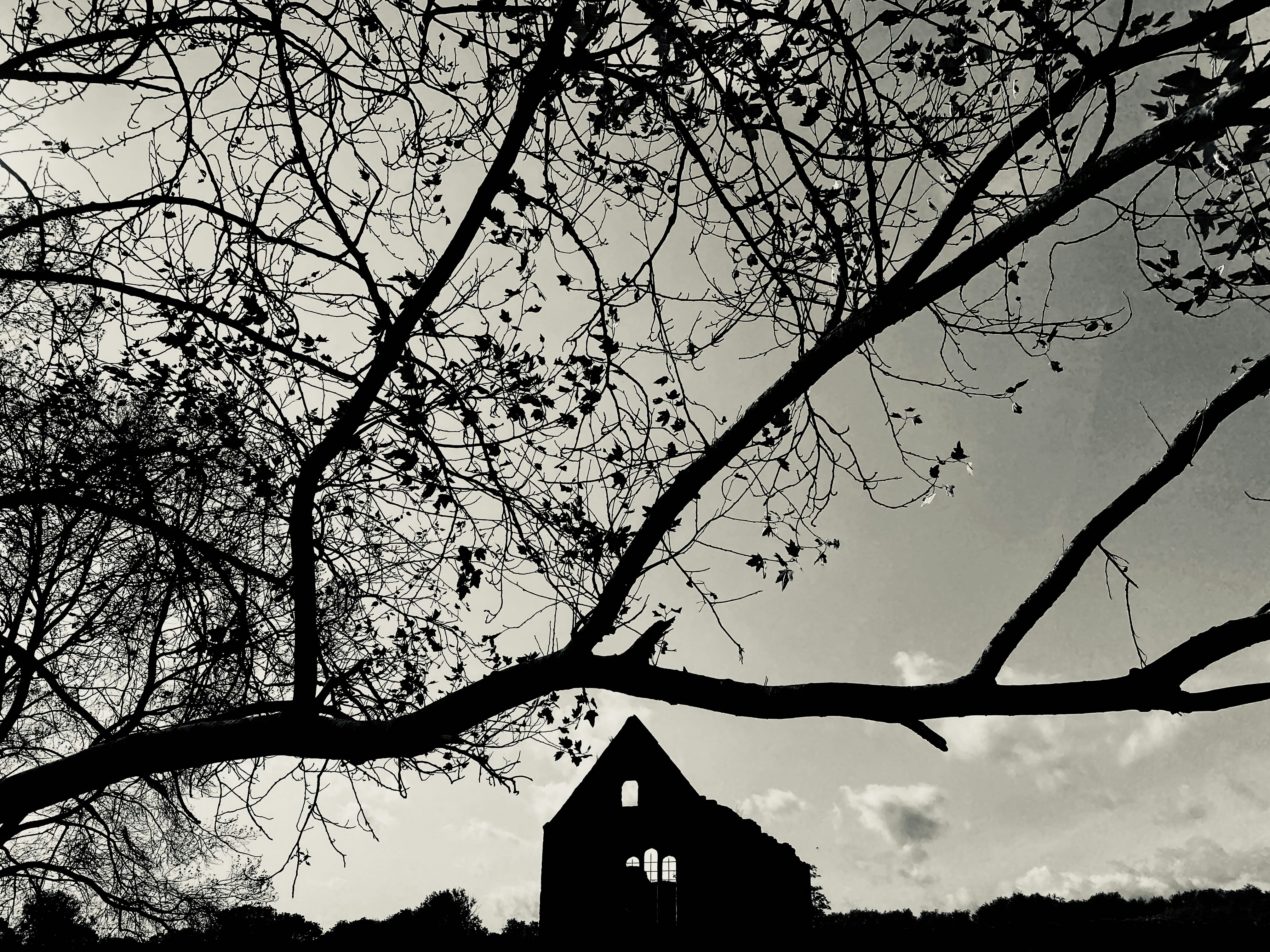 Photo by lucyoryetso