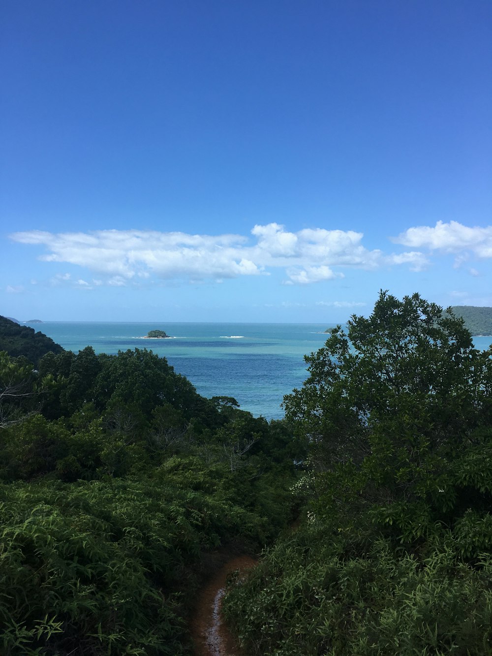 a view of the ocean from the top of a hill