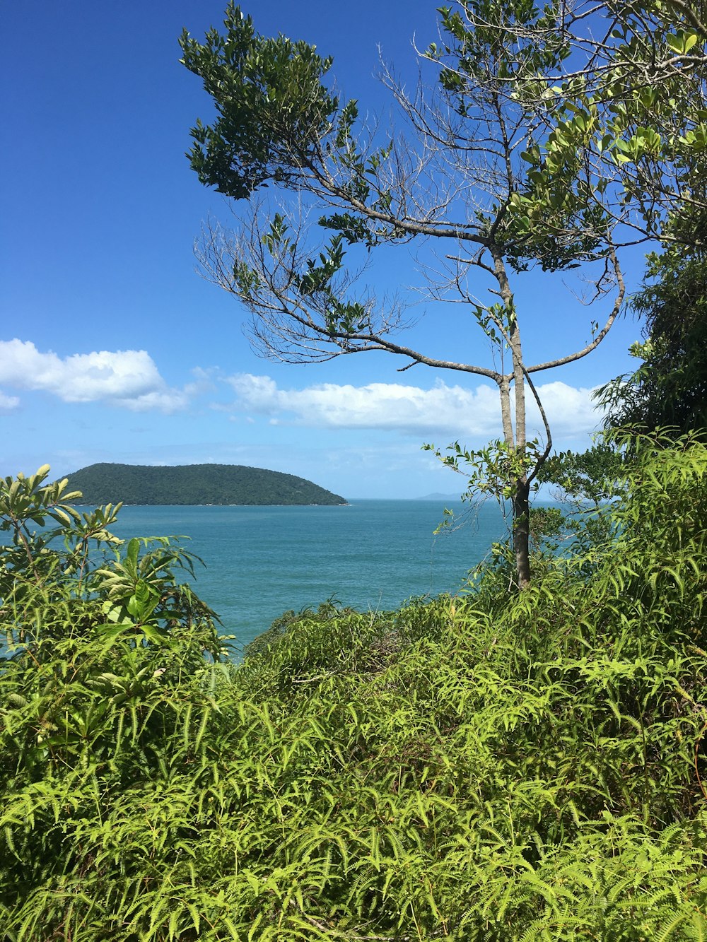 a view of a body of water from a hill