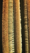 Close-up of textured fabric in muted green and warm beige shades
