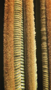 Close-up of terravibe’s textured fabric details on a modern jacket sleeve.