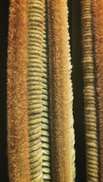 Close-up of textured luxury fabric blending deep forest green and warm sand tones.