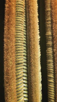 Close-up of vibrant Olefin fabric texture highlighting its thick cotton-like appearance