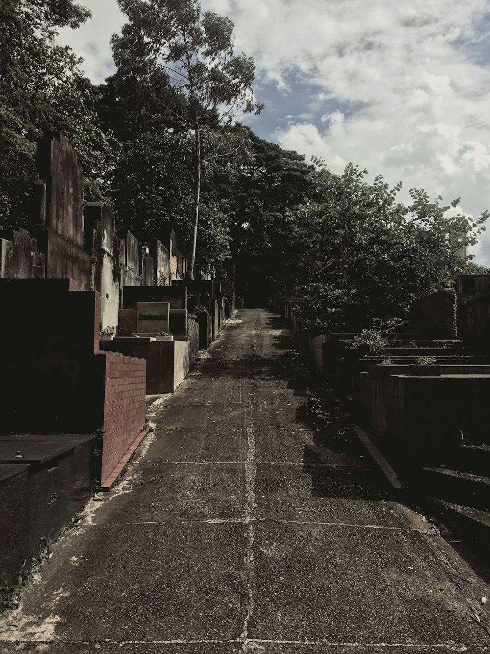 a long narrow road with trees on both sides