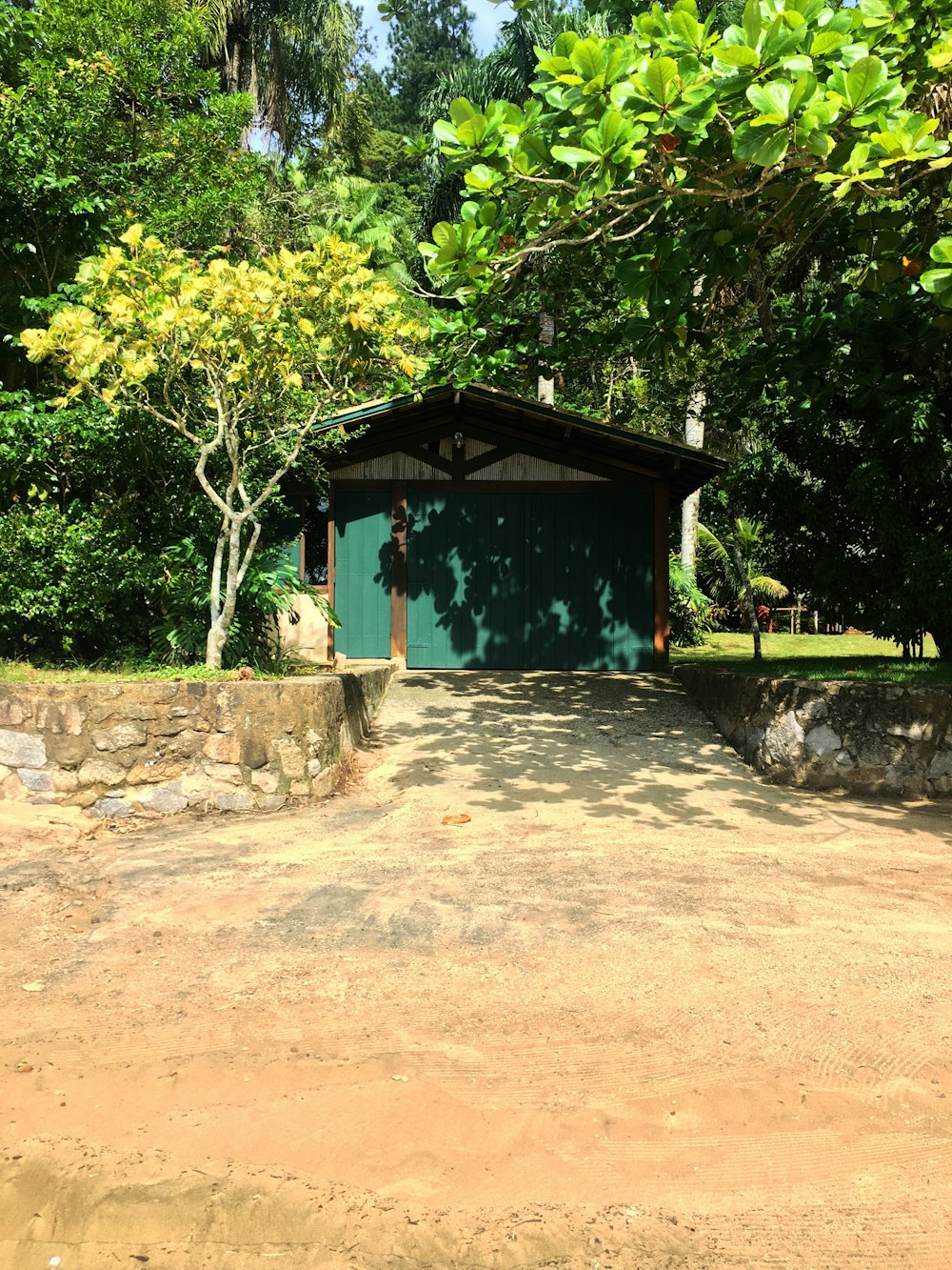 a blue garage sitting next to a lush green forest