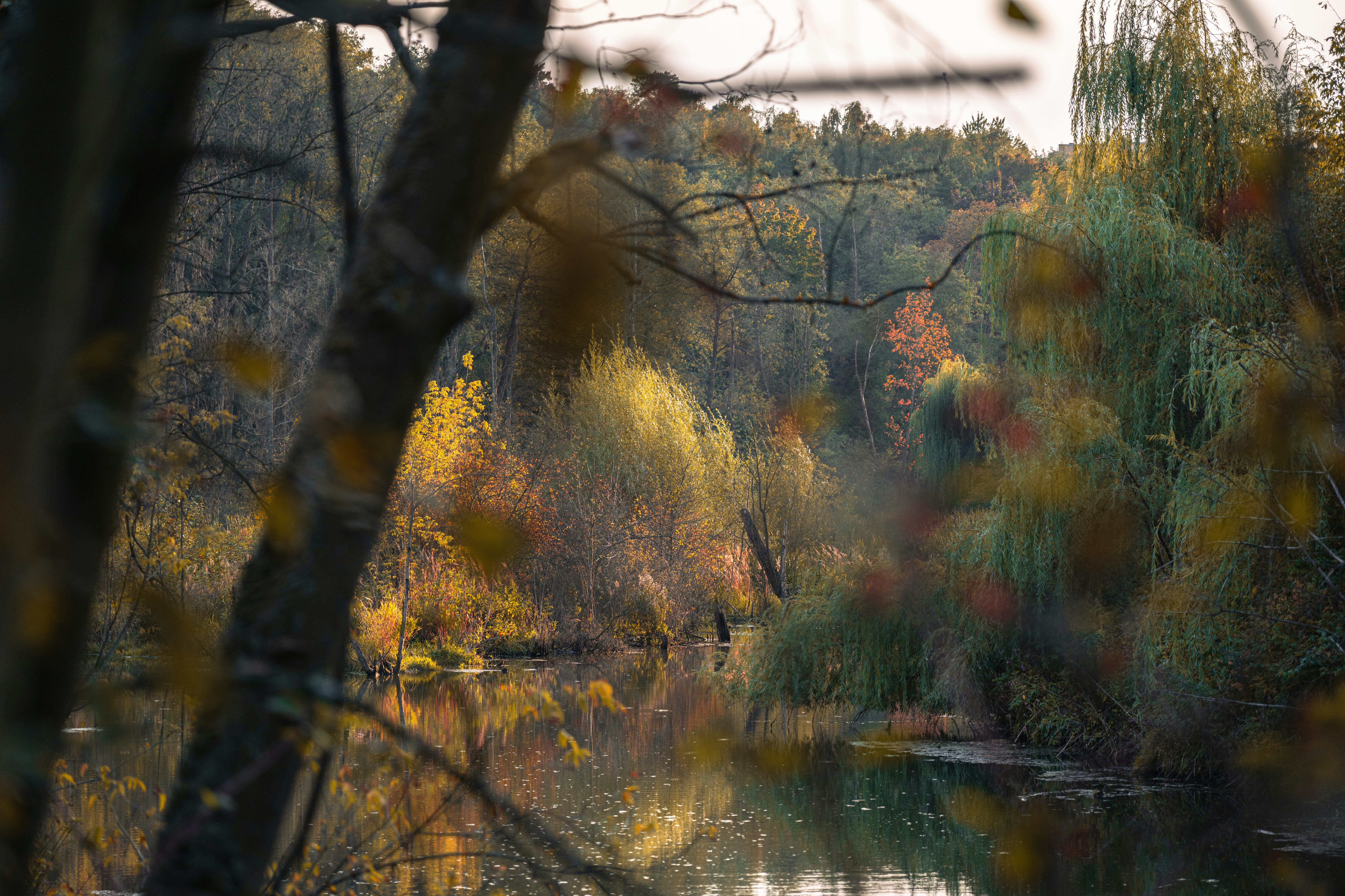 Photo by andreystrizhkov