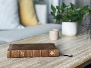 A brown leather-bound Holy Bible lies on a wooden table. In the background, there is a cozy setting with a gray sofa adorned with striped and solid colored cushions in shades of white, gray, and yellow. A white ceramic pot holding a green leafy plant is placed on the table next to a small beige candle holder.