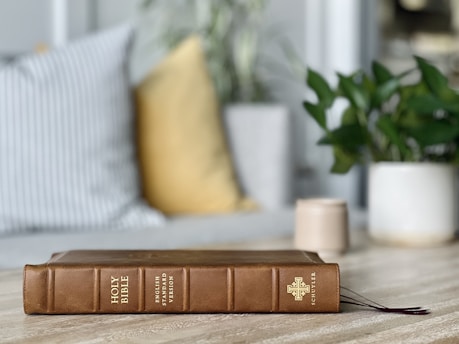 A brown Bible with the text 'Holy Bible: English Standard Version' embossed on the spine rests on a light-colored wooden surface. In the background, there is a striped pillow, a yellow cushion, a small potted green plant, and a cup. The setting appears calm and cozy, indicating a domestic or contemplative environment.