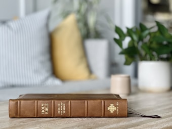 A brown Bible with the text 'Holy Bible: English Standard Version' embossed on the spine rests on a light-colored wooden surface. In the background, there is a striped pillow, a yellow cushion, a small potted green plant, and a cup. The setting appears calm and cozy, indicating a domestic or contemplative environment.