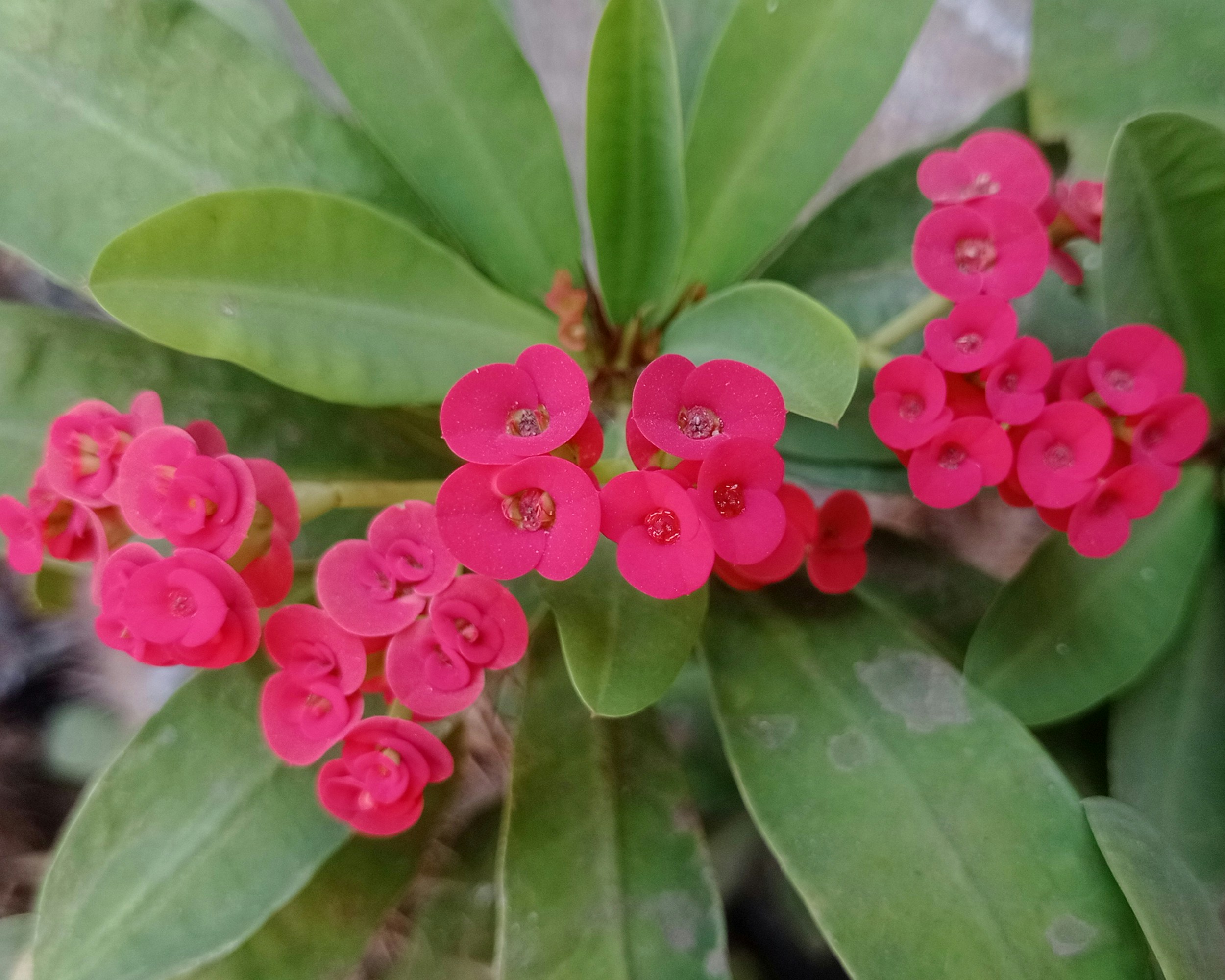 Photo by arkan_maker