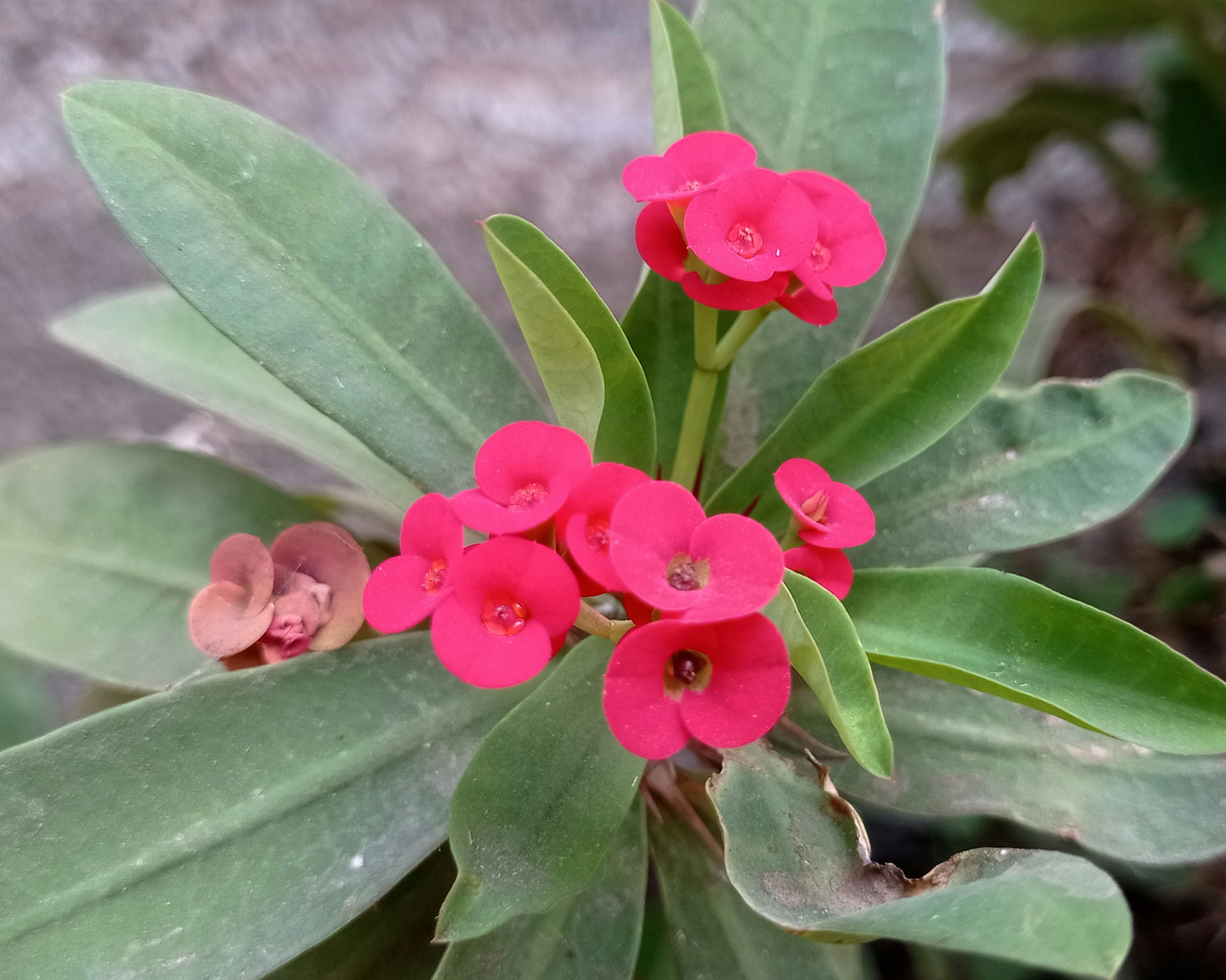 Photo by arkan_maker