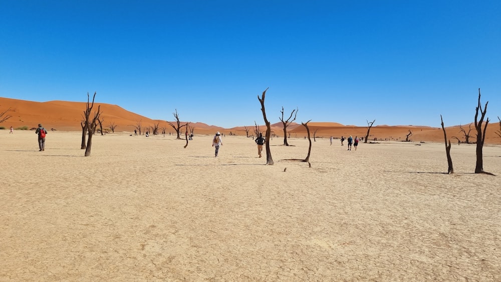 a group of people walking across a sandy field