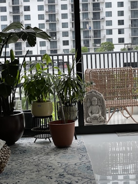 A cozy interior space featuring several potted plants arranged on a patterned rug. In the background, a balcony is visible with a wicker chair and a stone statue of Buddha. The large glass windows offer a view of a building with multiple balconies across the way.