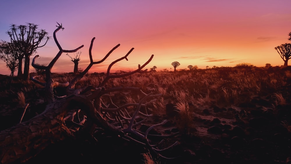 the sun is setting over a desert landscape