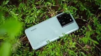 A sleek smartphone showing social media analytics surrounded by natural elements like leaves and wooden textures.