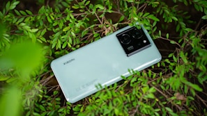 A sleek smartphone showing social media analytics surrounded by natural elements like leaves and wooden textures.