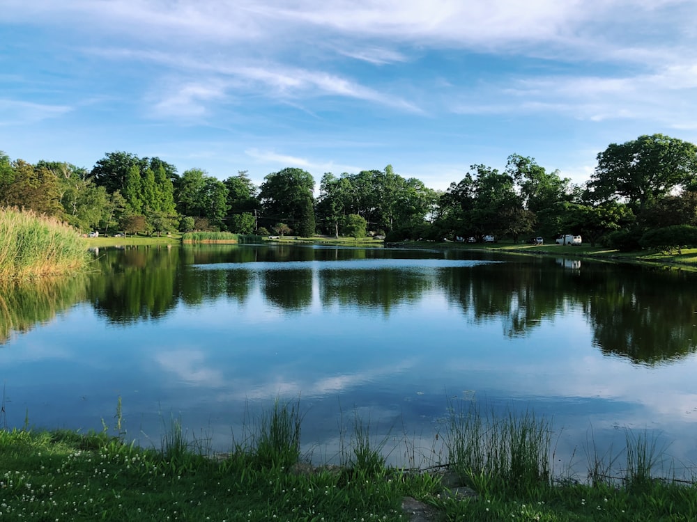 a large body of water surrounded by lush green trees