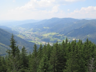 A picturesque valley with lush green meadows, dense forested areas, and a winding road. Rolling hills and distant mountains are visible, dotted with small houses and villages. The sky is partly cloudy, and there are coniferous trees in the foreground.