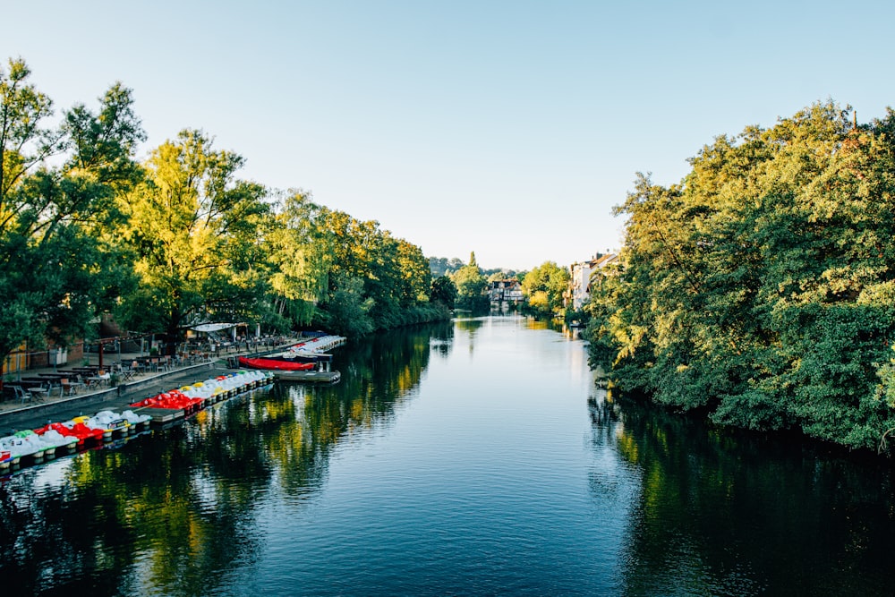 Ein Fluss, der durch einen üppigen grünen Wald fließt