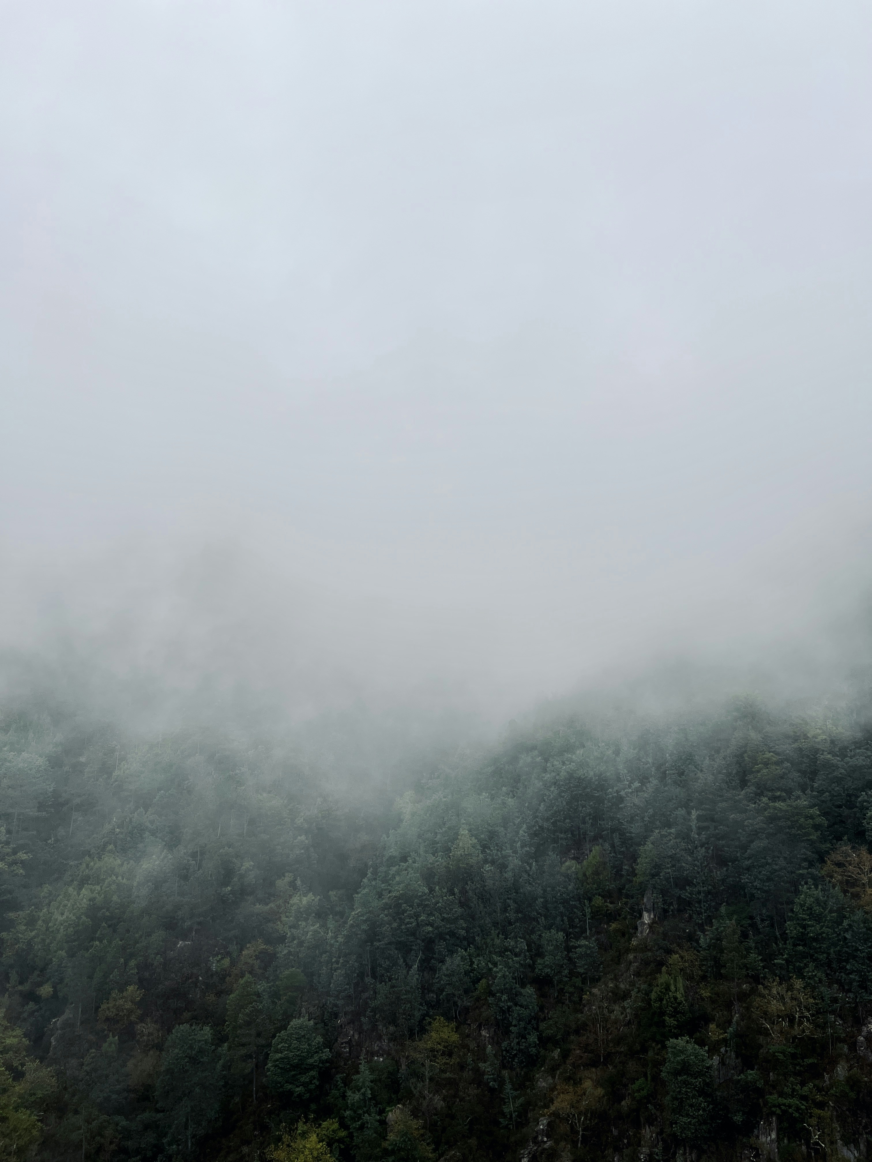 Photo by ashley_hayes