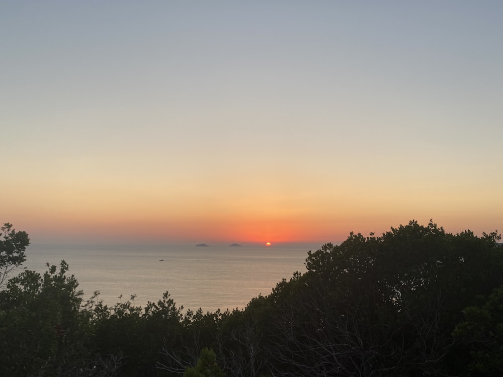 the sun is setting over the ocean and trees